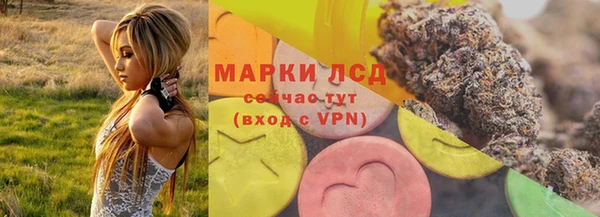 ALPHA-PVP Новозыбков