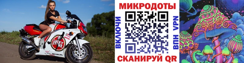 Галлюциногенные грибы Psilocybe  Руза 